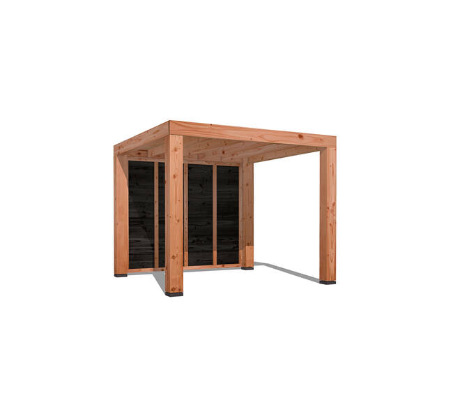 Douglas Overkapping Strak 3x3m. | Type 12 01